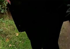 دو سارق از طریق پنجره نفوذ به سکس های ایرانی دختر شد، به نظر می رسد که این همان چیزی است که او منتظر بود، به طوری که او به راحتی پاهای خود را پاره کرد و به مقدار زیادی از بدنش لذت برد.