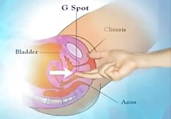 عزیزم الاغ بزرگ در لباس زیر زنانه سکس دختر ایرانی سکسی در مقعد